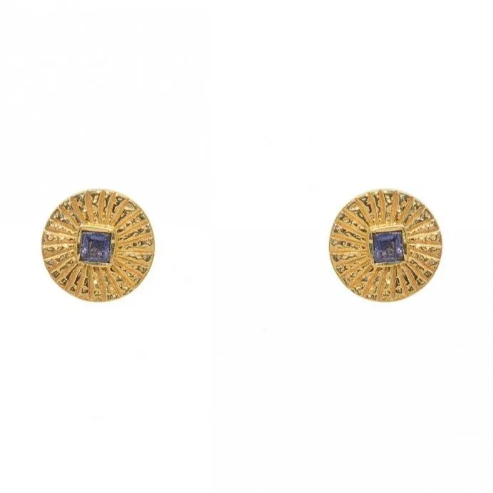 Hammered Iolite Gold Plated Post Earrings