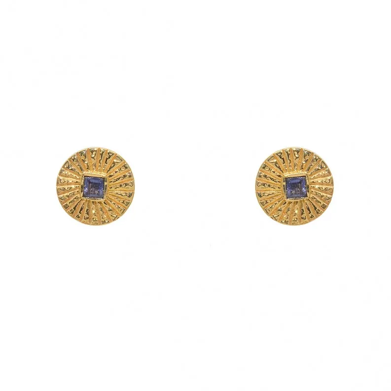 Hammered Iolite Gold Plated Post Earrings