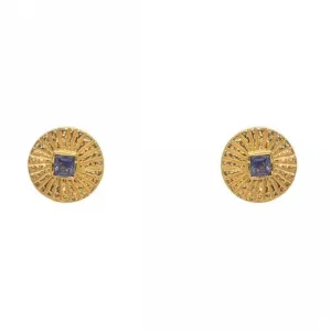 Hammered Iolite Gold Plated Post Earrings